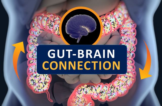 gut brain connection - brandalyzer.jpg