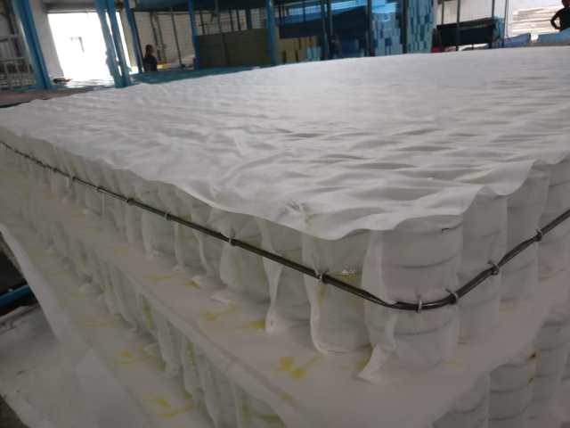 Pocket Springs - Guarded with metal wire.jpeg